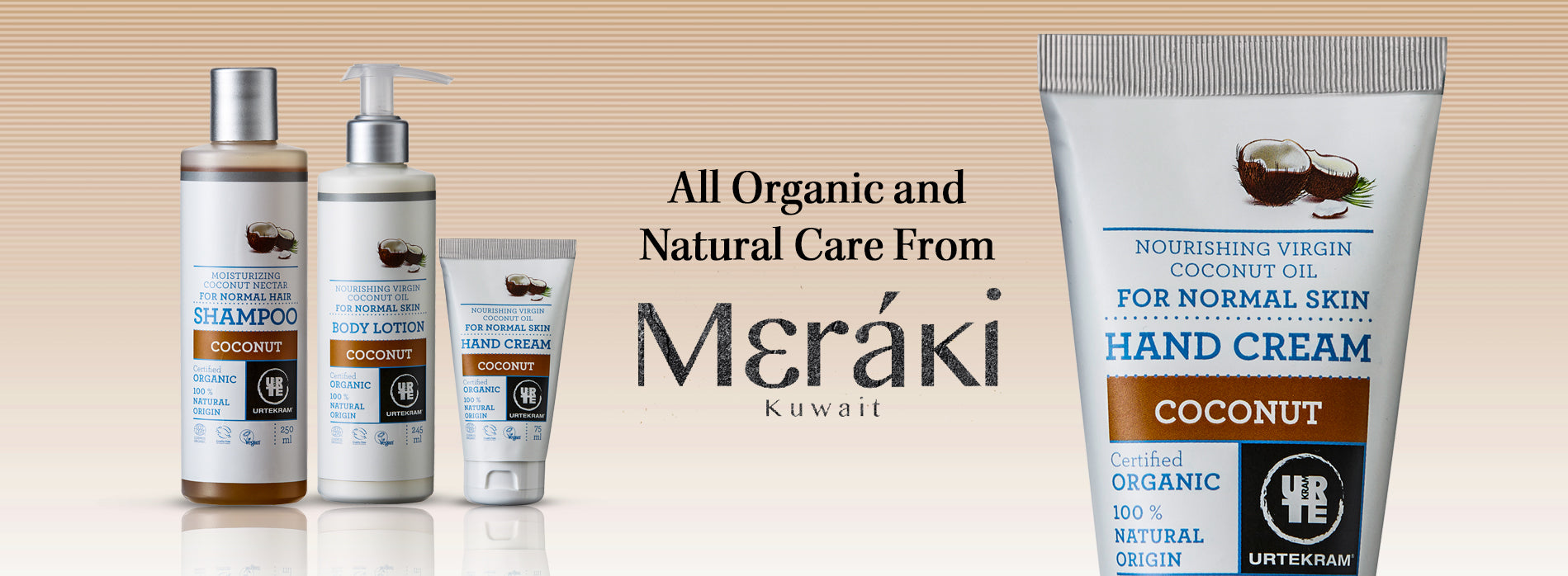 Meraki